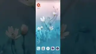 how to change notch display