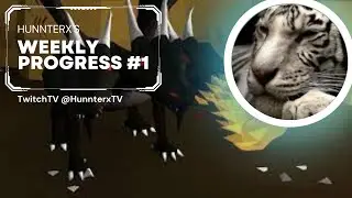 We complete so much stuff this week! Weekly update #1