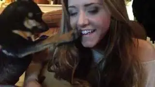 "Stand By Me" The Puppy Challenge (Colleen Ryan *attempted* cover)