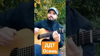 #ддт #осень