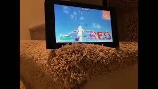Nintendo switch gameplay/showing off ranking and level