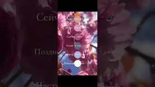 НАРЕЧИЯ В АРАБСКОМ ЯЗЫКЕ 