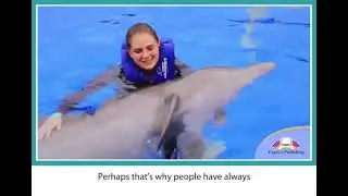 Aspect 11 Module 2D Dark side of dolphins