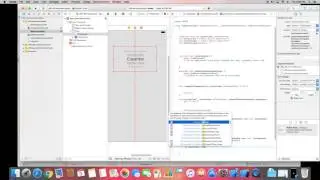 Swift  Session Custom UIPickerView