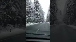 зимняя сказка)