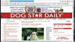 Best Backlinks for Reverse Engineering Backlinks