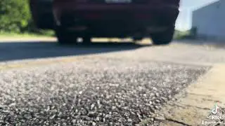 2014 Mustang GT Exhaust Clip #coyotemustang #automobile #becausemustang #fordmustang #exhaust #borla