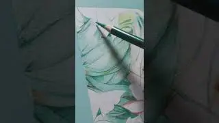 Woodless Watercolor Pencil #foryou #pencil #pencildrawing #watercolorpencil #painting #art #artwork