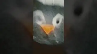 Пять Ночей с Фрогги в Реальной жизни