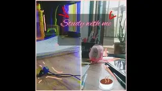 Real time study with me/ 45 mins, no break
