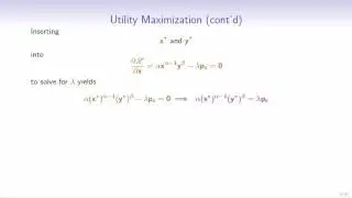 Method of Lagrange Multipliers