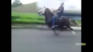 Лошадь с движком V8
