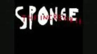 ******THE INCREDIBLE SPONGE OPENING******