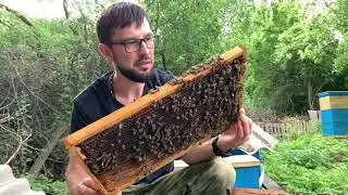 Проверка отводка и Матки.