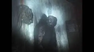 scp-106