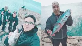 spinning algerie - très belle combat