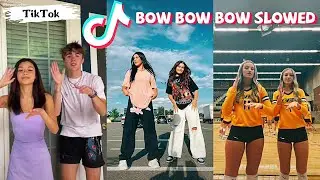 Bow Bow Bow Slowed TikTok Dance Challenge Compilation