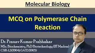 MCQ on Polymerase Chain Reaction (PCR)