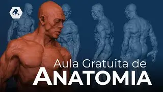 Aula Gratuita de Anatomia | PARTE 1