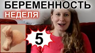 НЕДЕЛЯ 5 - БЕРЕМЕННОСТЬ ПО НЕДЕЛЯМ. ПОЛОЖИТЕЛЬНЫЙ ТЕСТ