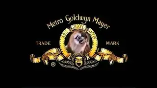 MGM Metro Goldwyn Mayer Lions (1916-2008)
