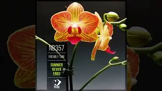Friendly Tune - Summer Never Ends [RELAX SINGLE] 2024