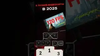 3 лучшие видеокарты в 2025 