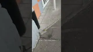 Сможет ли выжить?