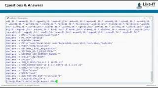 bash how to list environment variables