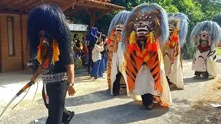 Arak-arakan Barongan Blora SINGO CONDRO MUDO Sedekah Bumi dk Gulingan