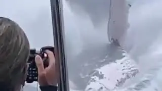 biggest animal in the world