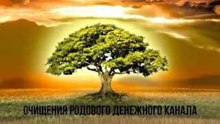 Практика Очищения Родового Денежного Канала.