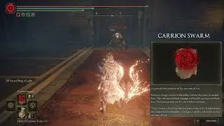 Servant of Rot Spell Showcase - Elden Ring Convergence Mod