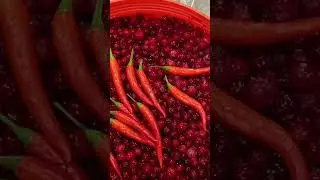 Клюква Чили!!! Ратафия...