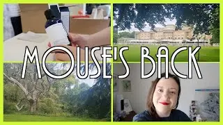 Mouse's Back