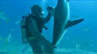 MAN AND BEAST  -  Part 19 - Amazing Animal Compilations