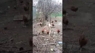 9 ноября 2022 г.