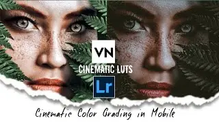 CINEMATIC LUT/PRESET VN EDITOR || VN EDITOR