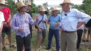 Рубящий каток. Июль 2022