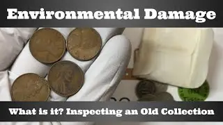 What is Environment Damage? - Inspecting an Old Coin Collection