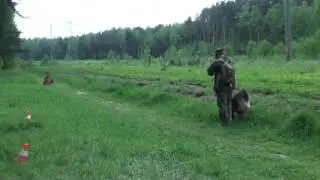 00014Бетти