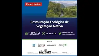 2 - Diagnóstico para escolha do método
