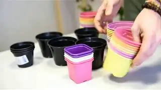Выбираем горшки для рассады: какие лучше