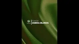 𝐓𝐈𝐏𝐒: 𝐅𝐔𝐍𝐆𝐒𝐈 𝐙𝐄𝐁𝐑𝐀 𝐁𝐋𝐈𝐍𝐃𝐒