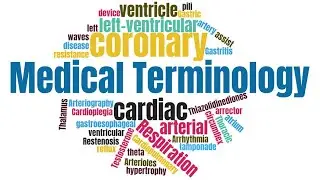 المصطلحات الطبية - medical terminology 