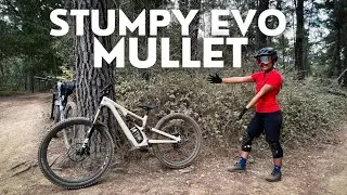 Loving my mullet Stumpjumper EVO | Size: S1 (XS) Petite Rider