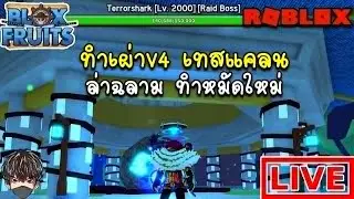 🔴Roblox LIVE Blox Fruit : ทำเผ่าV4 ล่าฉลาม กับคนดู