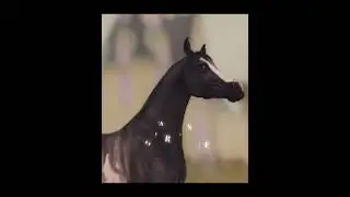 #ssoedit #horse #edit #horsegame #starstableonlineedit #starstablehorses #starstableonlinenewhorses