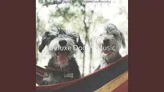 Subtle (Sleeping Puppies)
