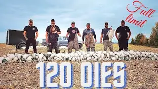 Chasse aux oies FULL LIMIT (1ère partie) snow goose hunting